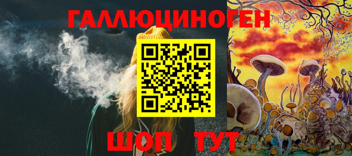 Псилоцибиновые грибы Magic Shrooms  закладка  Советская Гавань  Галлюциногенные грибы Psilocybine cubensis  Вход с VPN 